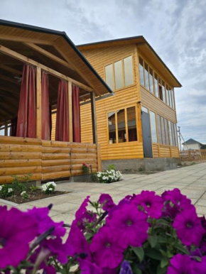 Wood House 2